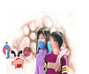 child died from swine flu, alert in schools.